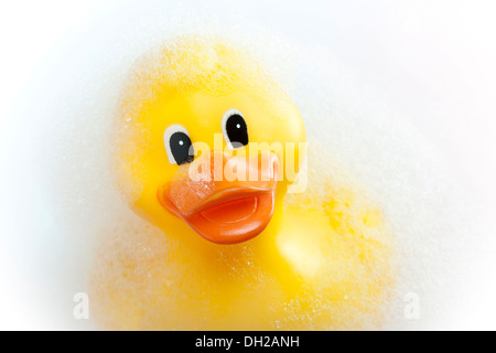 Yellow rubber duck Stock Photo