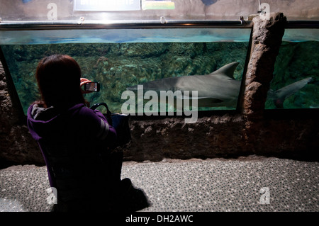 People in the tunnel watching the sharks, Shark Reef Aquarium