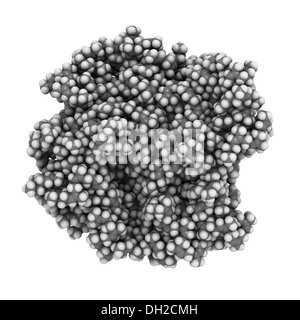 Natural rubber (cis-1,4-polyisoprene), chemical structure. Used to manufacture surgeons' gloves, condoms, boots, car tires, etc. Stock Photo