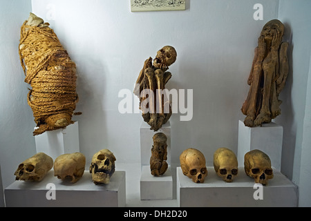 Mummies of child sacrifices at the Archeology Museum of Ancash, Huaraz, Peru. Stock Photo