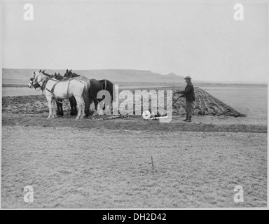 Turning over first sod on homestead. Sun River Mont. By Lubkin, November 5, 1908 531559 Stock Photo