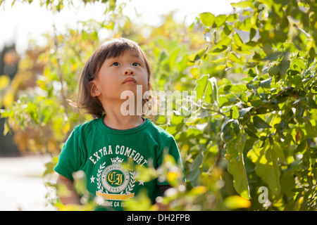 3 year old Asian boy exploring in garden Stock Photo