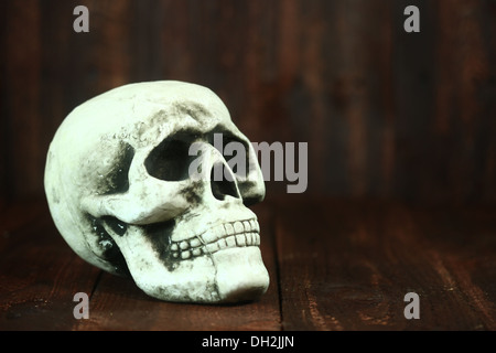 Spooky Halloween Skull on Wood Grunge Rustick Background Stock Photo