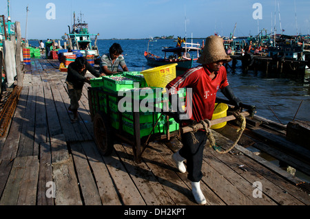 Cambodian men hauling in the morning catch, Sihanoukville, Cambodia. © Kraig Lieb Stock Photo