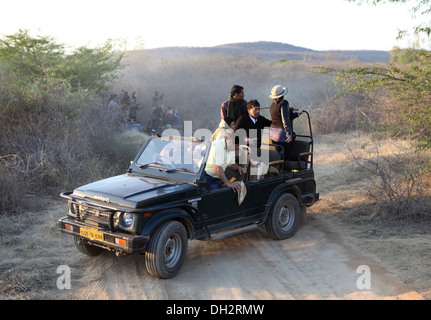 Tourists in an open jeep on a tiger safari  in the Ranthambhore Tiger Reserve, Sawai Madhopur District, Rajasthan, India, Stock Photo