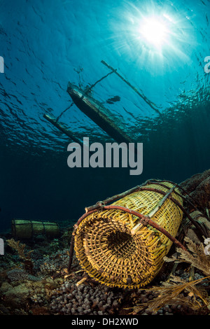 Fish Trap on Coral Reef, Pantar, Alor Archipelago, Lesser Sunda Islands, Indonesia Stock Photo