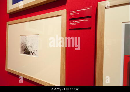 Buckingham Palace, London, UK. 30th Oct, 2013.  A gift to Her Majesty The Queen from some of the biggest names in British contemporary art and the ground-breaking work of a forgotten 17th-century genius go on display in two new exhibitions opening Friday 1 November Credit:  Malcolm Park editorial/Alamy Live News Stock Photo