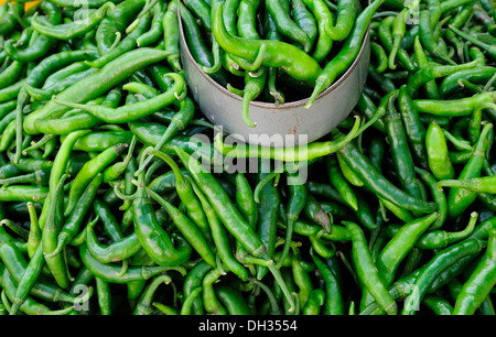 Jalapeno chilli, Capsicum annuum. Green chillies for sale in the market. Mexico, Veracruz, Papantla, Stock Photo