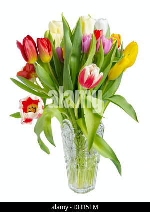 Bouquet of tulips in a crystal vase Stock Photo