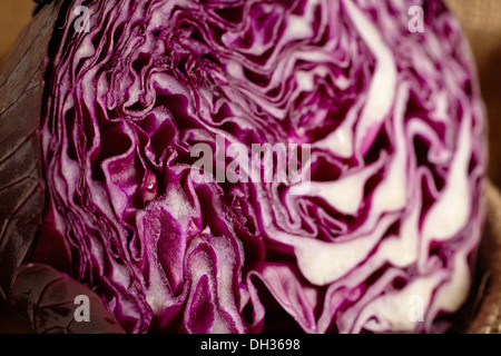 Red cabbage cut in half Stock Photo