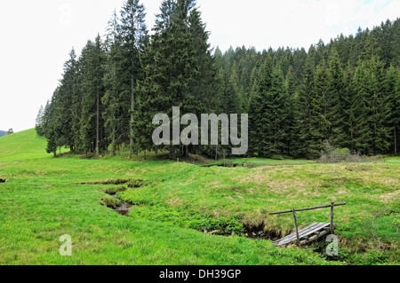 Idyll in the Black Forest Germany Stock Photo