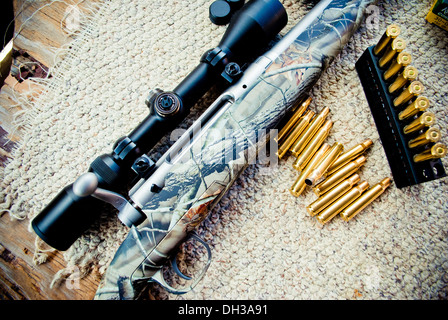 Rifle and bullets. Stock Photo