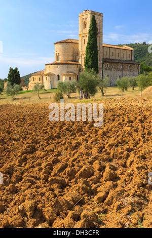 The Abbey of Sant'Antimo is a former Benedictine monastery in the comune of Montalcino, Tuscany, central Italy Stock Photo