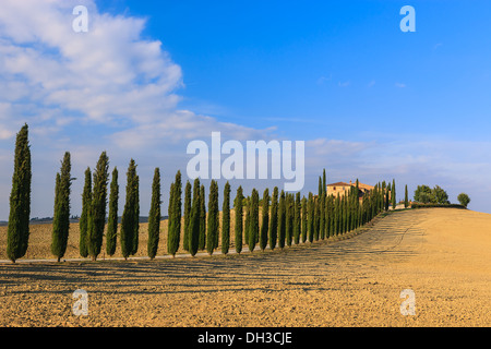In the heart of Tuscany, in the countryside of the Val d'Orcia, stands Agriturismo Poggio Covili Stock Photo