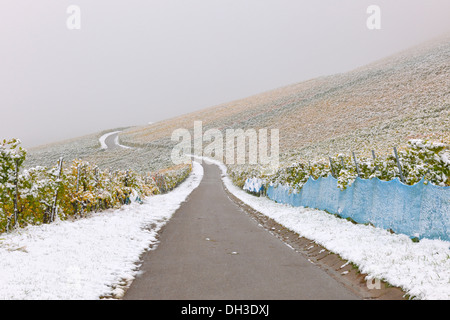 Path through the vineyard in autumn with snow, Korb, wine-growing region of Remstal, Baden-Wuerttemberg Stock Photo