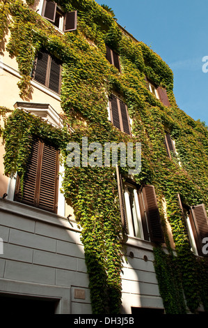 House with ivy in Via Borgo Pio, Rome, Italy
