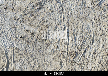 old dirty grunge gray background with highly textured Stock Photo