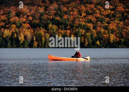Paddling a canoe on a lake in front of autumn-colored trees, Algonquin Provincial Park, Ontario, Canada Stock Photo