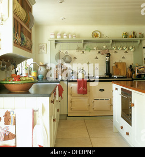 Pale green shelf above cream Aga in country kitchen with travertine stone flooring and fitted plate rack Stock Photo