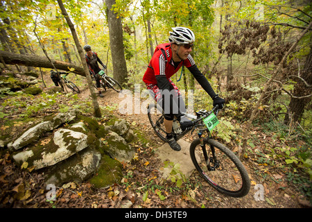 Mountain bikers ride along a forest trail system at Blowing Springs Park in Bella Vista, Arkansas. Stock Photo
