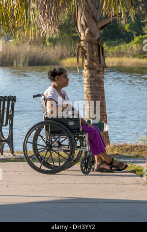 Woman sitting in wheelchair in waterfront public park in Mount Dora, Florida enjoying harbor view. Stock Photo