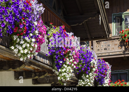 Kochel am See, Kochelsee, Balkonblumen an einem Bauernhaus, Bayern, Oberbayern, Deutschland, Europa Stock Photo