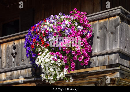 Kochel am See, Kochelsee, Balkonblumen an einem Bauernhaus, Bayern, Oberbayern, Deutschland, Europa Stock Photo