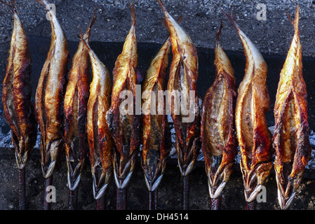 Oktoberfest in München, Steckerlfische bei der Fischer-Vroni auf der Wiesn Stock Photo