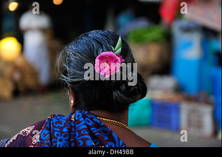 pink rose flower in black hair of woman Chennai Tamil Nadu India Asia Stock Photo