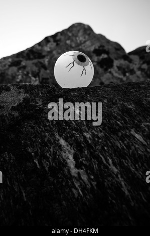 Big eye ball on a rock Stock Photo