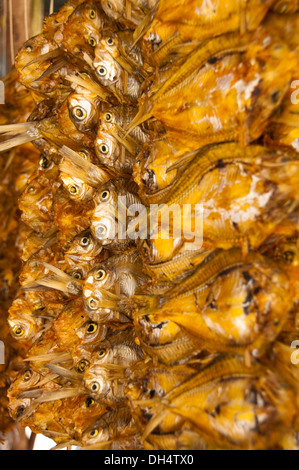 Vertical close up of dried fish on display at a food market in Laos. Stock Photo