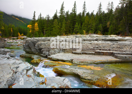 Stream in forest Stock Photo