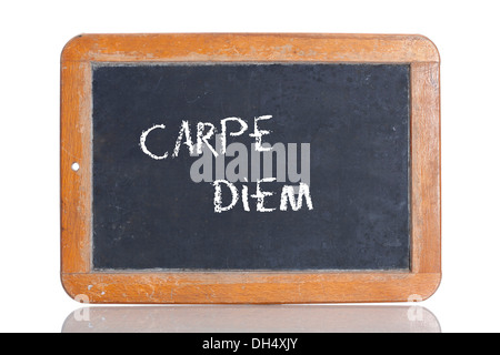 Carpe Diem wallpaper  Carpe diem, Dreamy art, Gorgeous quotes