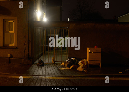 Night time image of domestic cats and dumped furniture and rubbish in a deprives area of cardiff Stock Photo