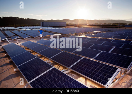 Solar energy plant with backlighting, Wollsdorf, Weiz District, Styria, Austria Stock Photo