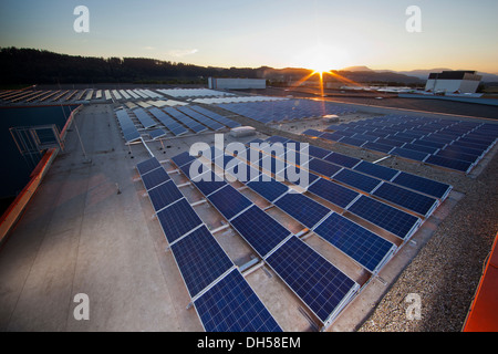Solar energy plant at sunset, Wollsdorf, Weiz District, Styria, Austria Stock Photo