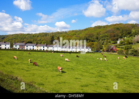 View of houses in the Esk Valley near Grosmont, taken from a train on the North York Moors railway Stock Photo