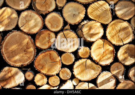 Pile of chopped fire wood stocked for winter time Stock Photo