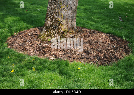 Mulch Stock Photo