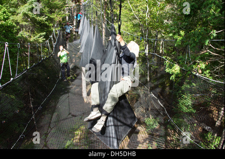 aerial adventure park Saguenay Quebec Canada Stock Photo