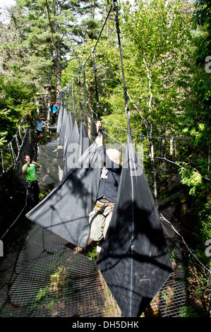 aerial adventure park Saguenay Quebec Canada Stock Photo