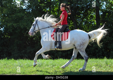 Young women rides for a hack on horse in the countryside at summer time Stock Photo