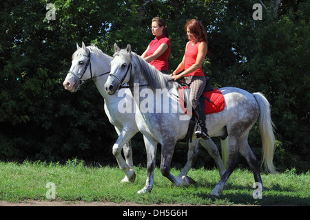 Two young women rides for a hack on horse in the countryside at summer time Stock Photo