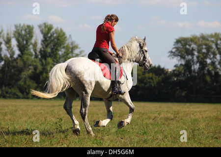 Young women rides for a hack on horse in the countryside at summer time Stock Photo