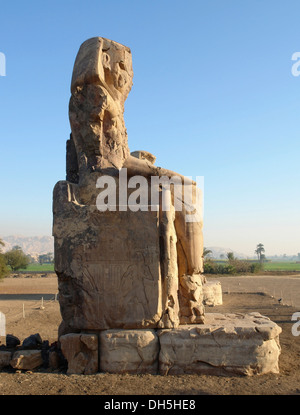 the Colossi of Memnon, two huge ancient statues near Luxor in Egypt (Africa) at evening time Stock Photo