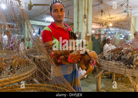 Vendor holding four chickens in the air, New Market, Dhaka, Bangladesh, South Asia, Asia, Asia Stock Photo