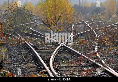 Railway tracks, abandoned marshalling yard in Duisburg Wedau, an industrial wasteland in the Ruhr area, North Rhine-Westphalia Stock Photo