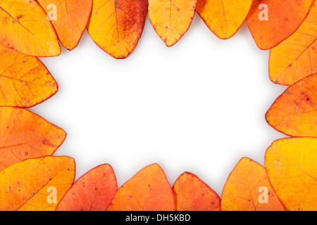 autumn leaves border on white Stock Photo