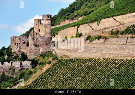 Ruins of Ehrenfels Castle near Assmannshausen, UNESCO World Heritage Cultural Landscape of the Upper Middle Rhine Valley, Hesse Stock Photo