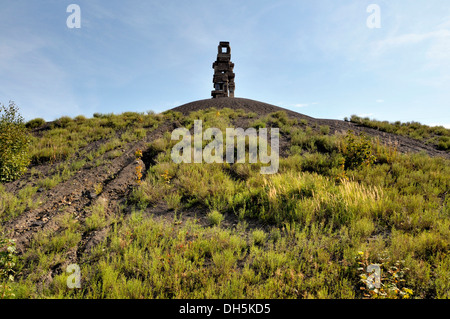 Piece of art 'Himmelstreppe' or Stairway to Heaven by the artist Herman Prigann on the top of the Halde Rheinelbe heap, Stock Photo